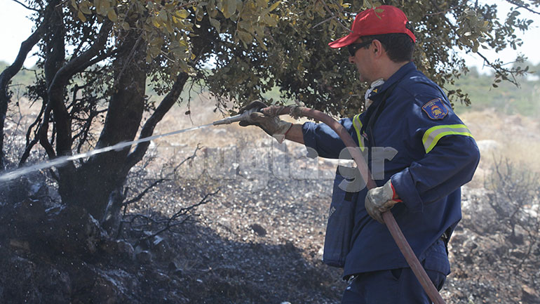 Σε εξέλιξη μεγάλη φωτιά στην Επίδαυρο – Ενισχύονται οι πυροσβεστικές δυνάμεις