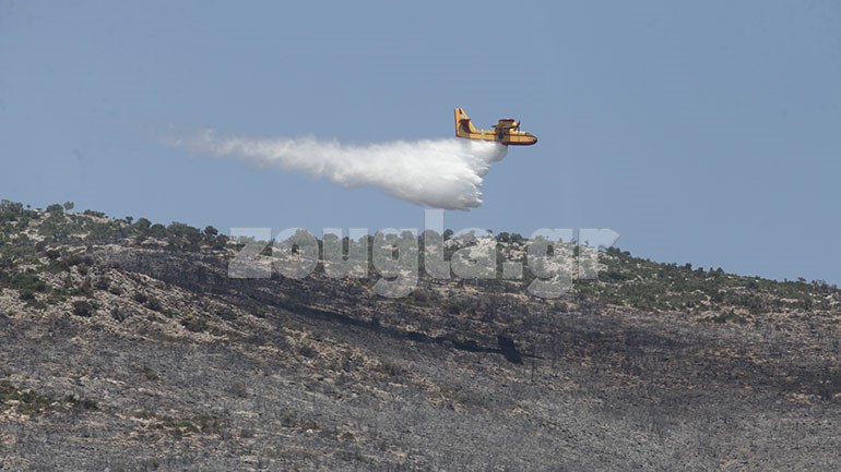 Υπό μερικό έλεγχο τέθηκε η φωτιά στην Επίδαυρο
