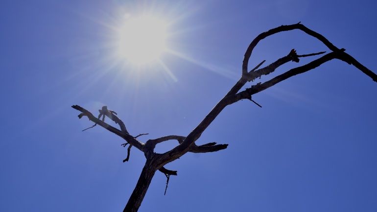 Ο καιρός σήμερα