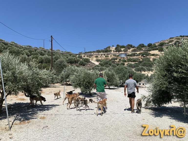 Το zougla.gr περιηγήθηκε στο καταφύγιο του Τάκη Προεστάκη