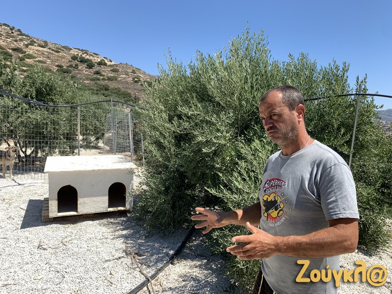 Ο Τάκης μας εξηγεί πώς κατάφερε να δημιουργήσει - αλλά κυρίως να συντηρήσει - αυτό το τεράστιο καταφύγιο κακοποιημένων σκυλιών