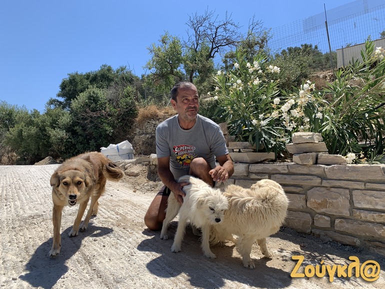 Ο Τάκης θυμάται τα ονόματα και των 400 σκυλιών, ενώ μας περιγράφει και την... προσωπική τους ιστορία!