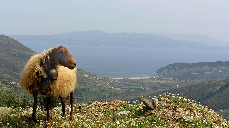 Tα διεθνή ΜΜΕ αποθεώνουν την Άνδρο