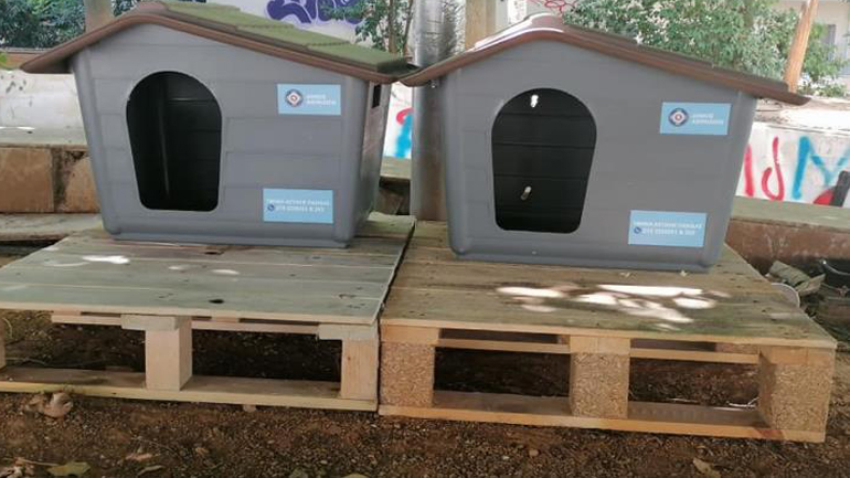 Δήμος Αθηναίων: Νέο πρόγραμμα για τα αδέσποτα – Τοποθετούνται σπιτάκια για γάτες σε γειτονιές της πόλης