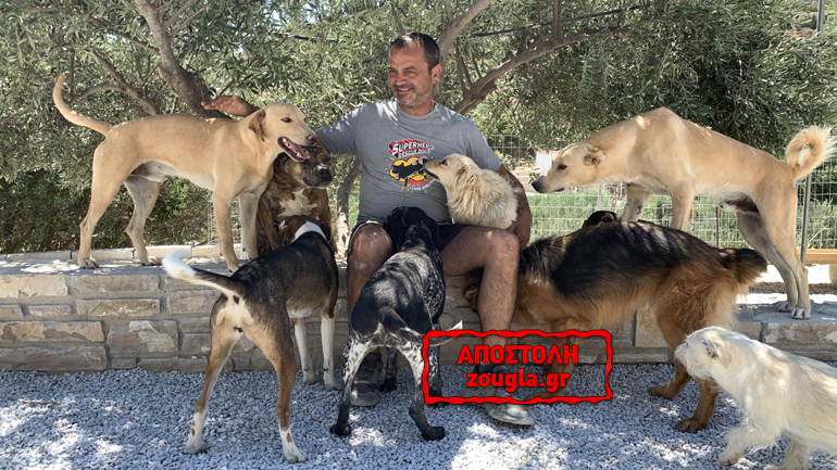 Η απίθανη ιστορία και το έργο του διασώστη κακοποιημένων σκυλιών Τάκη Προεστάκη στην Κρήτη