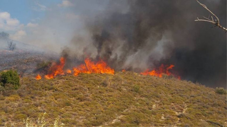 Φωτιά σε δάσος του Αργοστολίου της Κεφαλονιάς