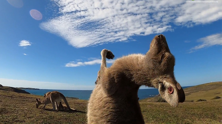 Η ζωή είναι ωραία
