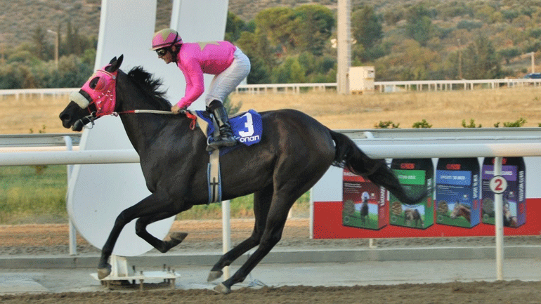 Markopoulo Park: Τζακ ποτ στο ΣΚΟΡ 6 και τέσσερις νικητές στο ΣΚΟΡ 4