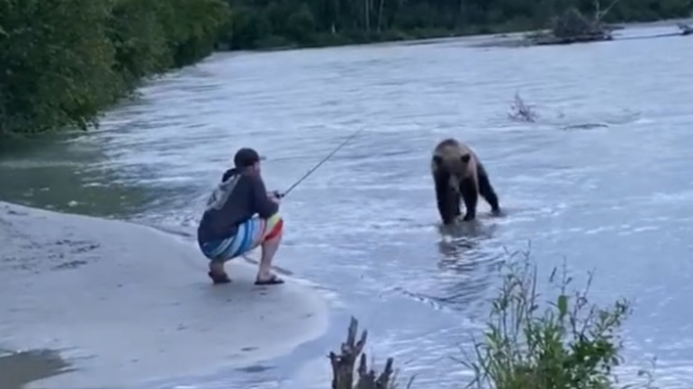 Αρκούδα αρπάζει τη λεία ενός ψαρά