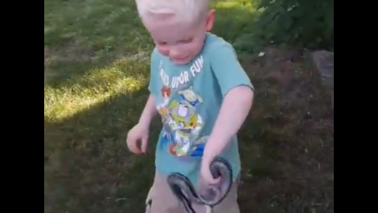 Φίδι δάγκωσε αγοράκι