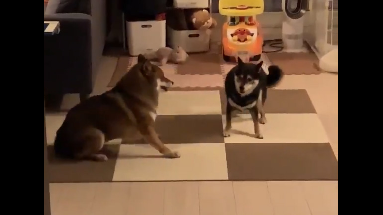 Ένα πολύ περίεργο παιχνίδι