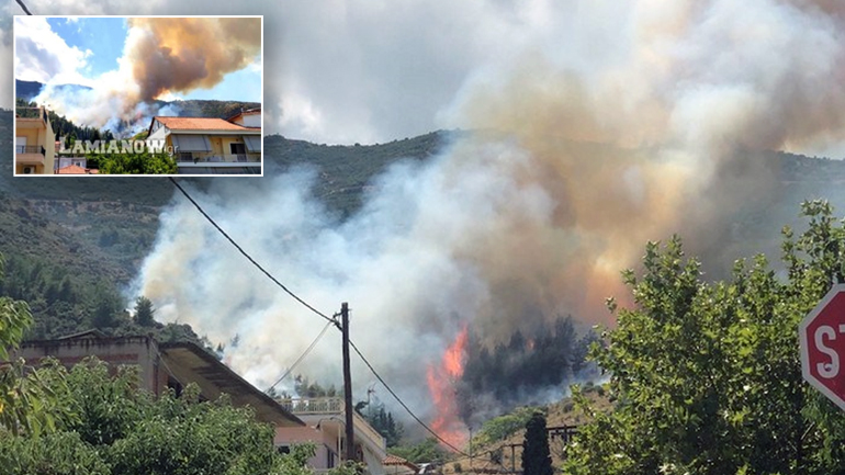 Υπό έλεγχο η πυρκαγιά στην Αταλάντη