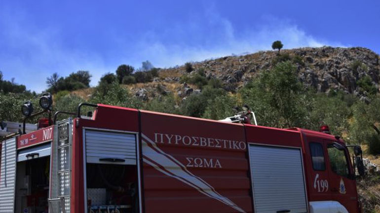 Φωτιά σε δασική έκταση στην Ανατολική Μάνη Φωτιά σε δασική έκταση στην Ανατολική Μάνη