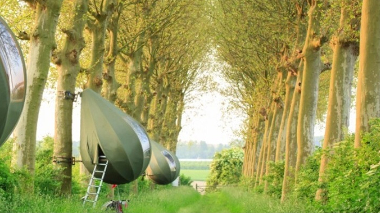 Διακοπές σε σκηνές-δάκρυα που κρέμονται από τα δέντρα