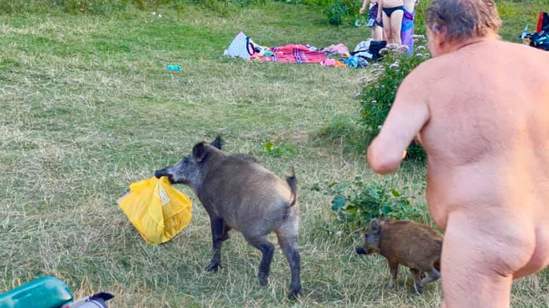 Είναι αυτό που… νομίζετε: Γυμνός άνδρας κυνηγάει αγριογούρουνο που του έκλεψε τον υπολογιστή!