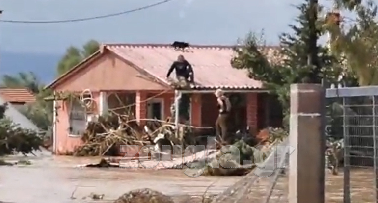 Ένας πολίτης βρήκε καταφύγιο, μαζί με τον σκύλο του, στην ταράτσα του σπιτιού του