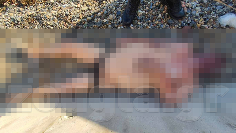 Εύβοια: Οκτώ οι νεκροί της θεομηνίας – Ταυτοποιήθηκε η σορός που ξεβράστηκε σε παραλία του Καλάμου