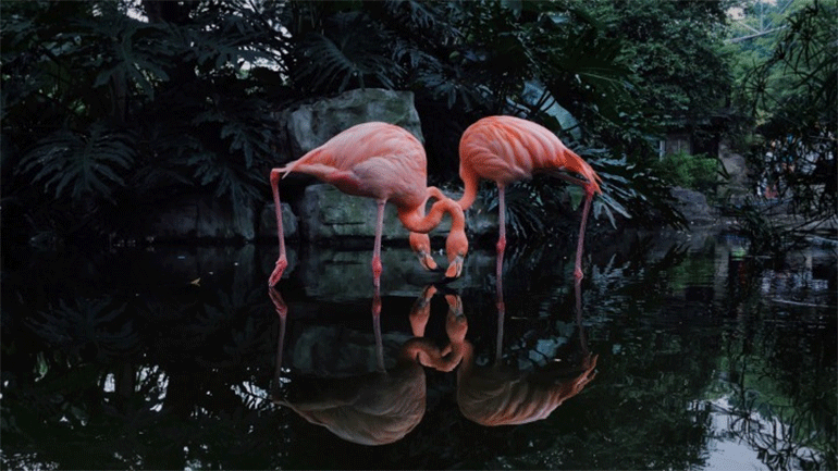 Ένας συναρπαστικός κόσμος στις φωτογραφίες του IPPAWARDS