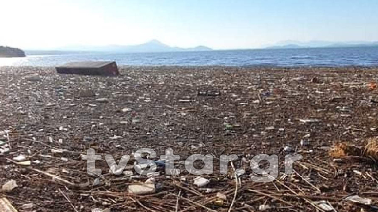 Τεράστια οικολογική καταστροφή σε Ωρωπό και Χαλκούτσι λόγω των φερτών υλικών από την Εύβοια