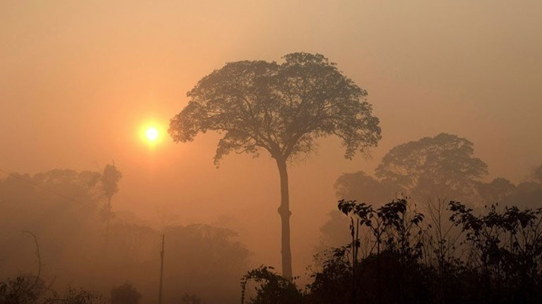 Το 2019 ήταν μια από τις τρεις θερμότερες χρονιές στην ιστορία
