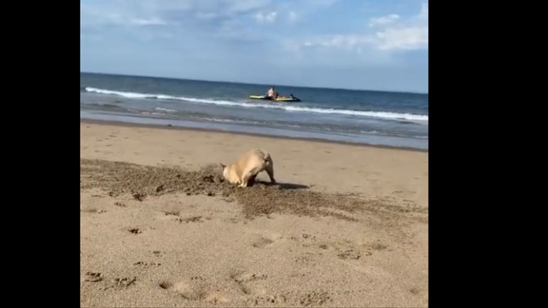 Άνοιξε μια μεγάλη τρύπα στην άμμο!