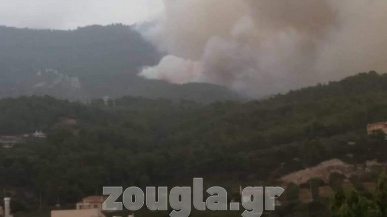 Ανακόπηκε αλλά καίει ακόμα η πυρκαγιά στις Ροβιές Εύβοιας – Δεν απειλεί σπίτια