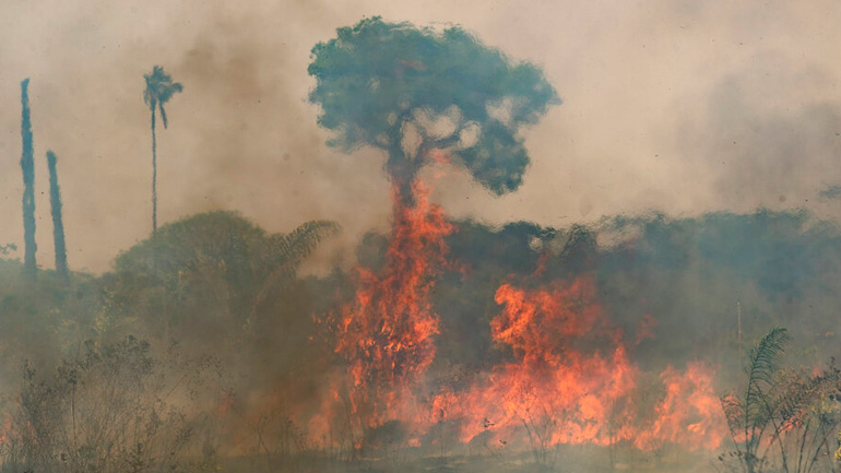 Βραζιλία: Πυρκαγιές στον Αμαζόνιο κατακαίνε χωράφια και απειλούν κατοικίες