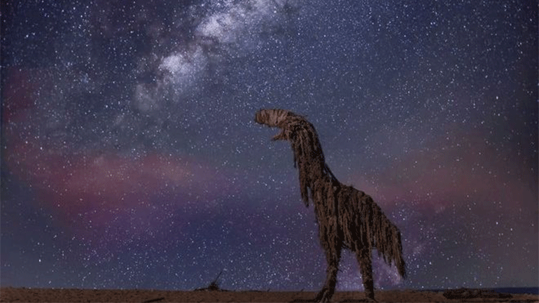 Γλυπτά ζώων από ξύλο που ξεβράζει ο ωκεανός δημιουργεί καλλιτέχνης στην Αυστραλία