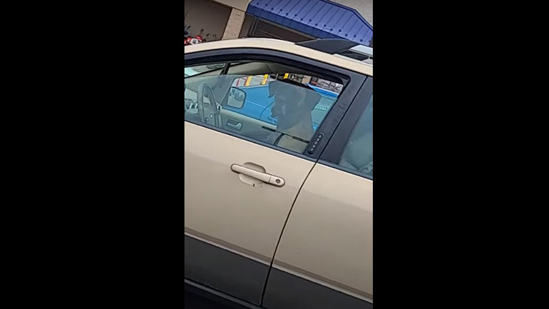 «Μην ενοχλείτε τον οδηγό» «Μην ενοχλείτε τον οδηγό»