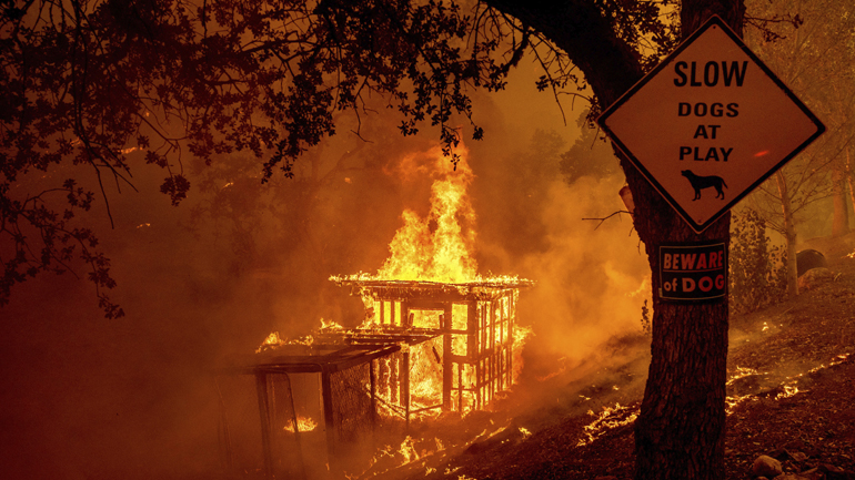 Σε κατάσταση έκτακτης ανάγκης η Καλιφόρνια: Μεγάλες πυρκαγιές και πρωτοφανής καύσωνας