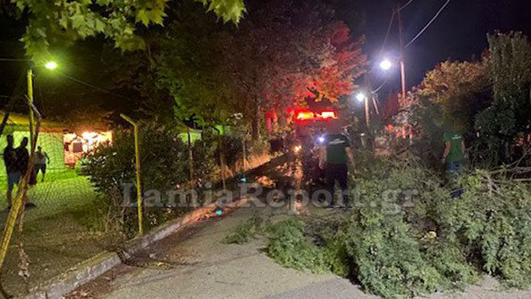 Δέντρο καταπλάκωσε γυναίκα στο ΚΑΑΥ Καραβομύλου