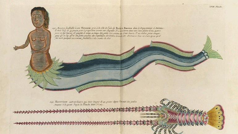 Online, οι πρώτες έγχρωμες απεικονίσεις θαλάσσιας ζωής