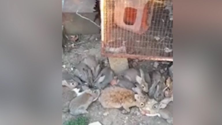 Νέα μέτρα για τον… συνωστισμό