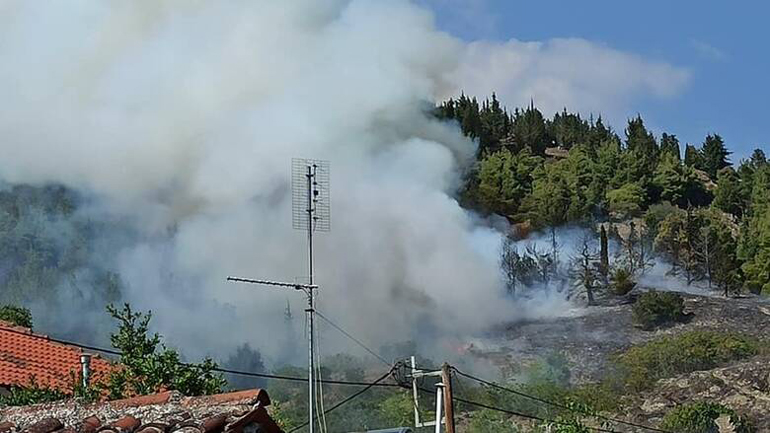 Πυρκαγιά σε δασική έκταση στην Ελασσόνα