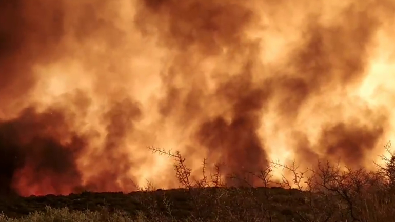 Ολονύχτια επιφυλακή στη Μάνη Ολονύχτια επιφυλακή στη Μάνη