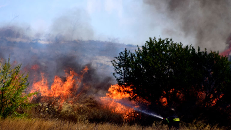 Οριοθετήθηκε η φωτιά στην Ελασσόνα