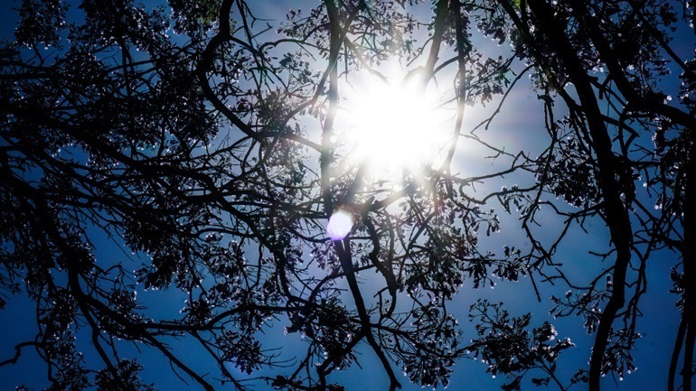 Ο καιρός σήμερα