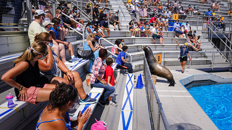 ΗΠΑ: Εκατοντάδες νεκροί από τον COVID-19 και επιπλέον 37.854 κρούσματα