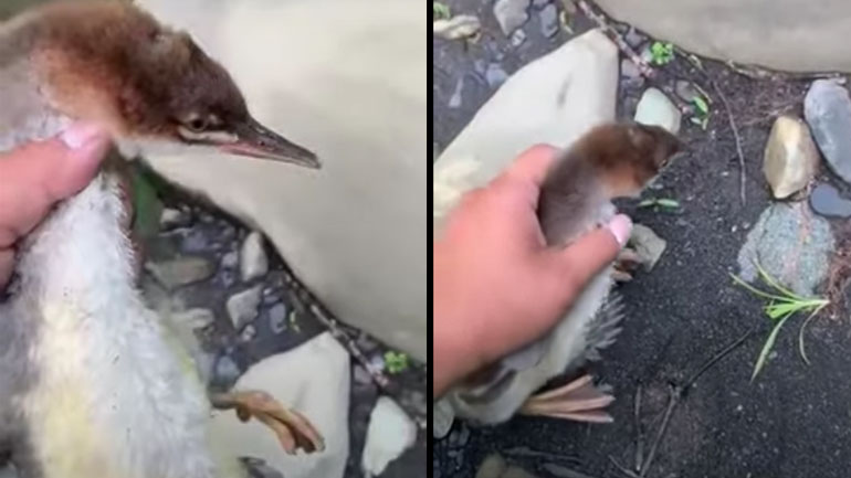 Παγκόσμιο ρεκόρ στα 100 μέτρα