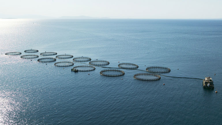 ΥΠΑΑΤ: Τέλος στις επιχειρήσεις «ζόμπι» στις υδατοκαλλιέργειες