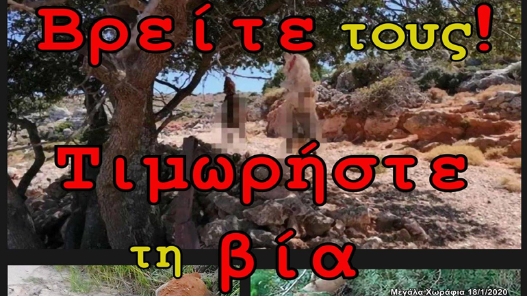 Αυτοκινητοπομπή στα Χανιά για τη σύλληψη του δράστη που βασάνισε φριχτά και σκότωσε δύο σκυλιά