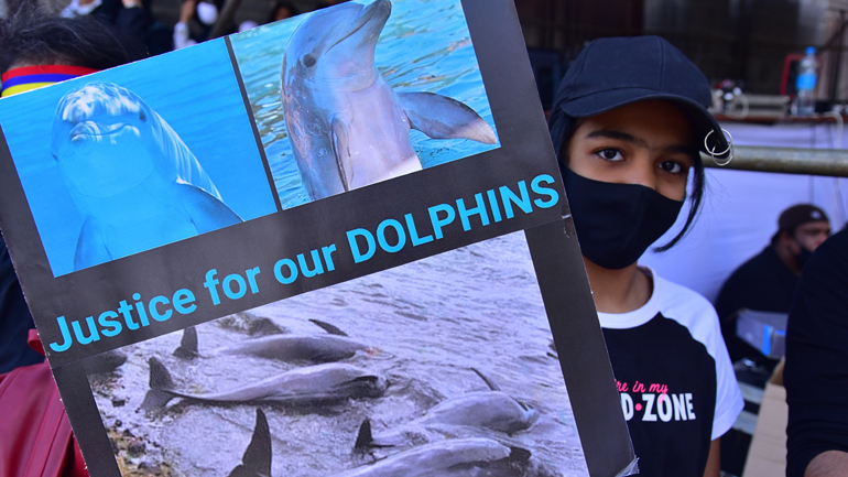 Μαυρίκιος: Ογκώδης αντικυβερνητική διαδήλωση για τον θάνατο 40 δελφινιών από πετρελαιοκηλίδα