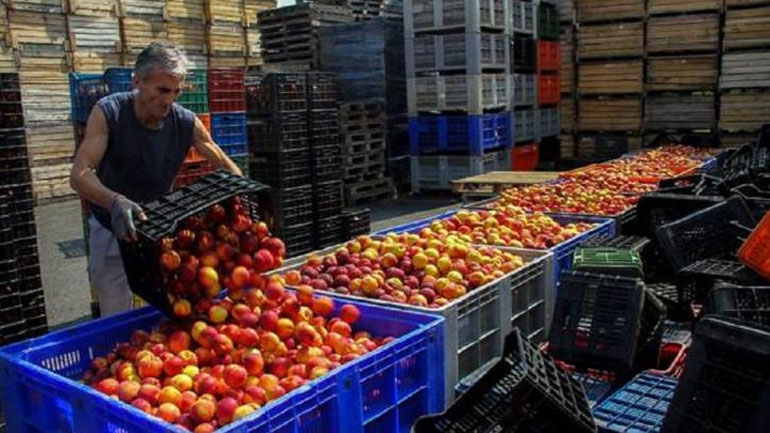 Βέροια: Παράσταση διαμαρτυρίας από ροδακινοπαραγωγούς έξω από το υποκατάστημα του ΕΛΓΑ