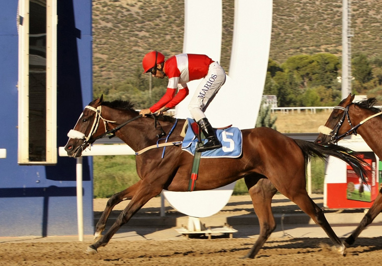 Καρέ νικών για τον αναβάτη Μάριο Χριστοφή