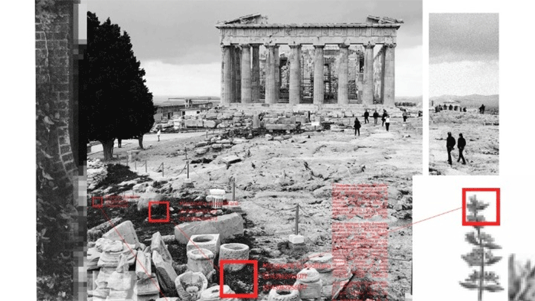 O «Κήπος Δεδομένων» της Κυριακής Γονή στη  Στέγη του Ιδρύματος Ωνάση