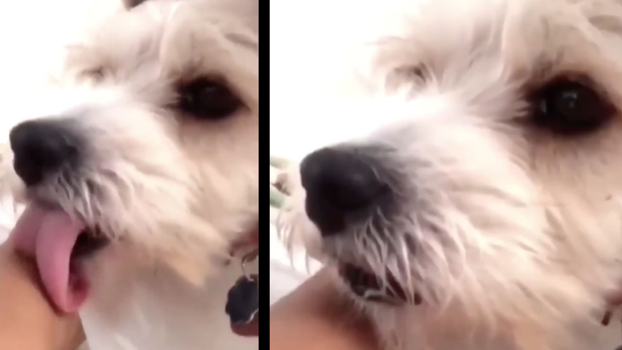 Όταν βήχουν δίπλα σου εν μέσω πανδημίας