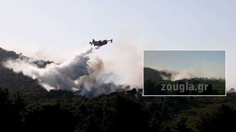 Υπό έλεγχο σε ορεινό όγκο η φωτιά του Σοφικού