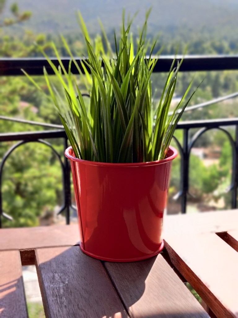 Αρκετά καλό εφέ θολώματος