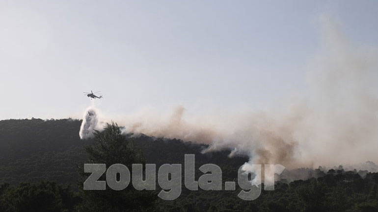 Κλιμάκιο Πυροσβεστικής και Αστυνομίας στο Σοφικό Κορινθίας για τα αίτια της πυρκαγιάς