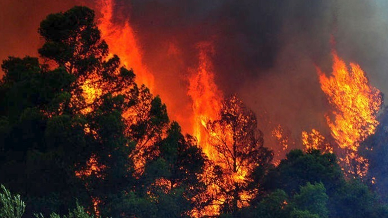 Ολονύχτια μάχη με τις φλόγες στη Σητεία